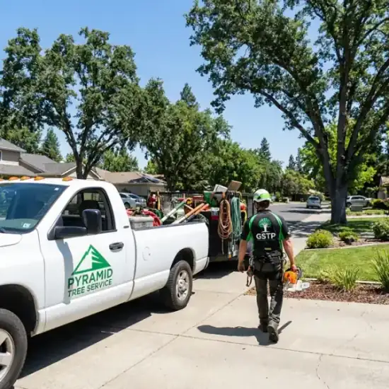 503 Tree Service truck arriving at a Raleigh residential job