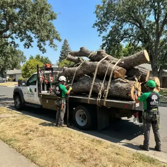 Tree service truck loaded with branches after a Raleigh job